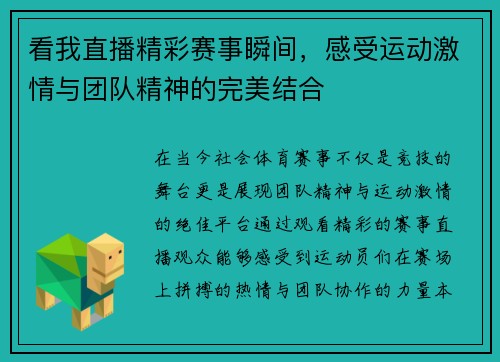 看我直播精彩赛事瞬间，感受运动激情与团队精神的完美结合